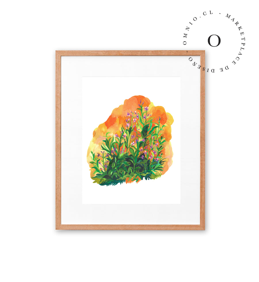 Orange Meadow / Nina & Cala