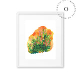 Orange Meadow / Nina & Cala