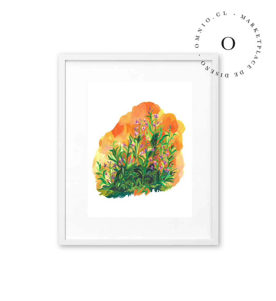 Orange Meadow / Nina & Cala