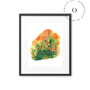 Orange Meadow / Nina & Cala