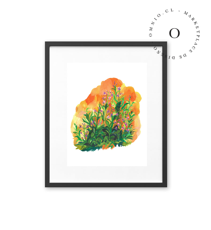 Orange Meadow / Nina & Cala