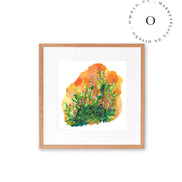 Orange Meadow / Nina & Cala