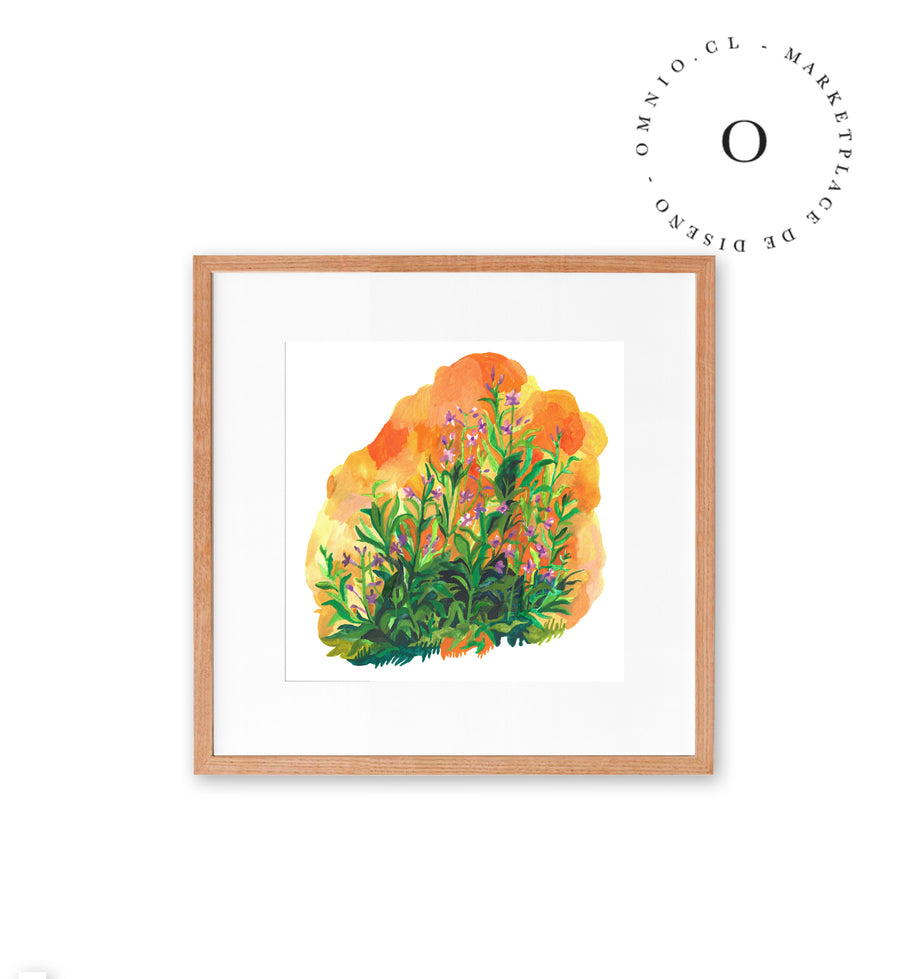 Orange Meadow / Nina & Cala