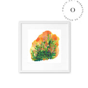 Orange Meadow / Nina & Cala