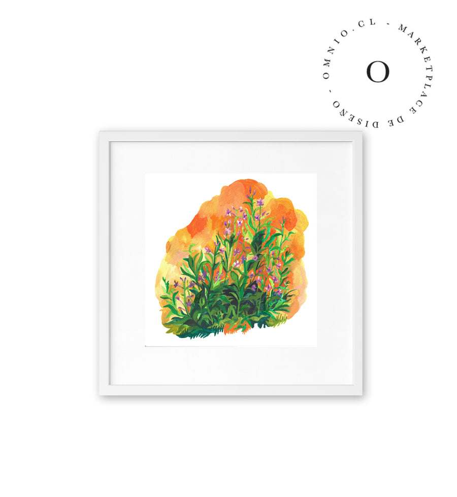 Orange Meadow / Nina & Cala