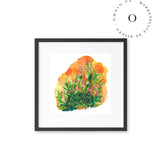 Orange Meadow / Nina & Cala