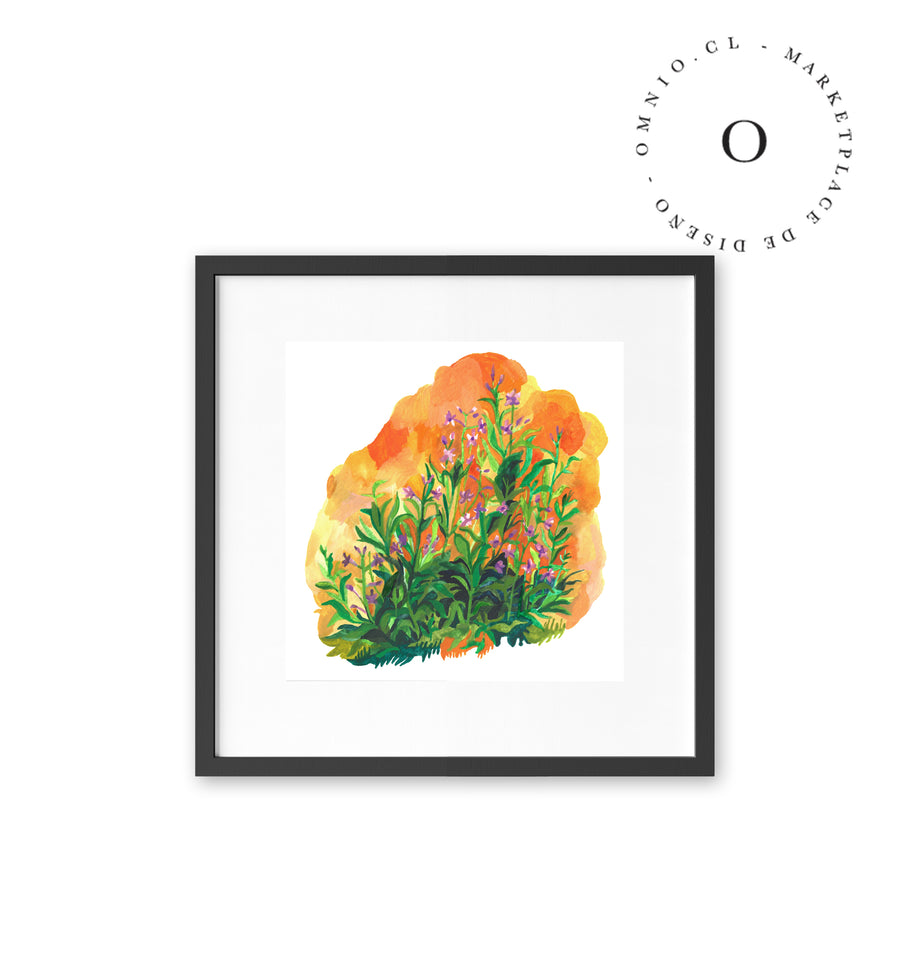 Orange Meadow / Nina & Cala