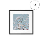 Paradise Flower I Cuadro