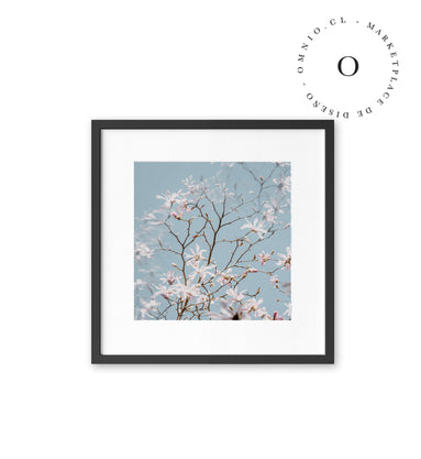 Paradise Flower I Cuadro