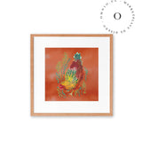 Parsley Hen / Nina & Cala