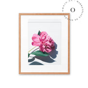 Peonia Cuadro