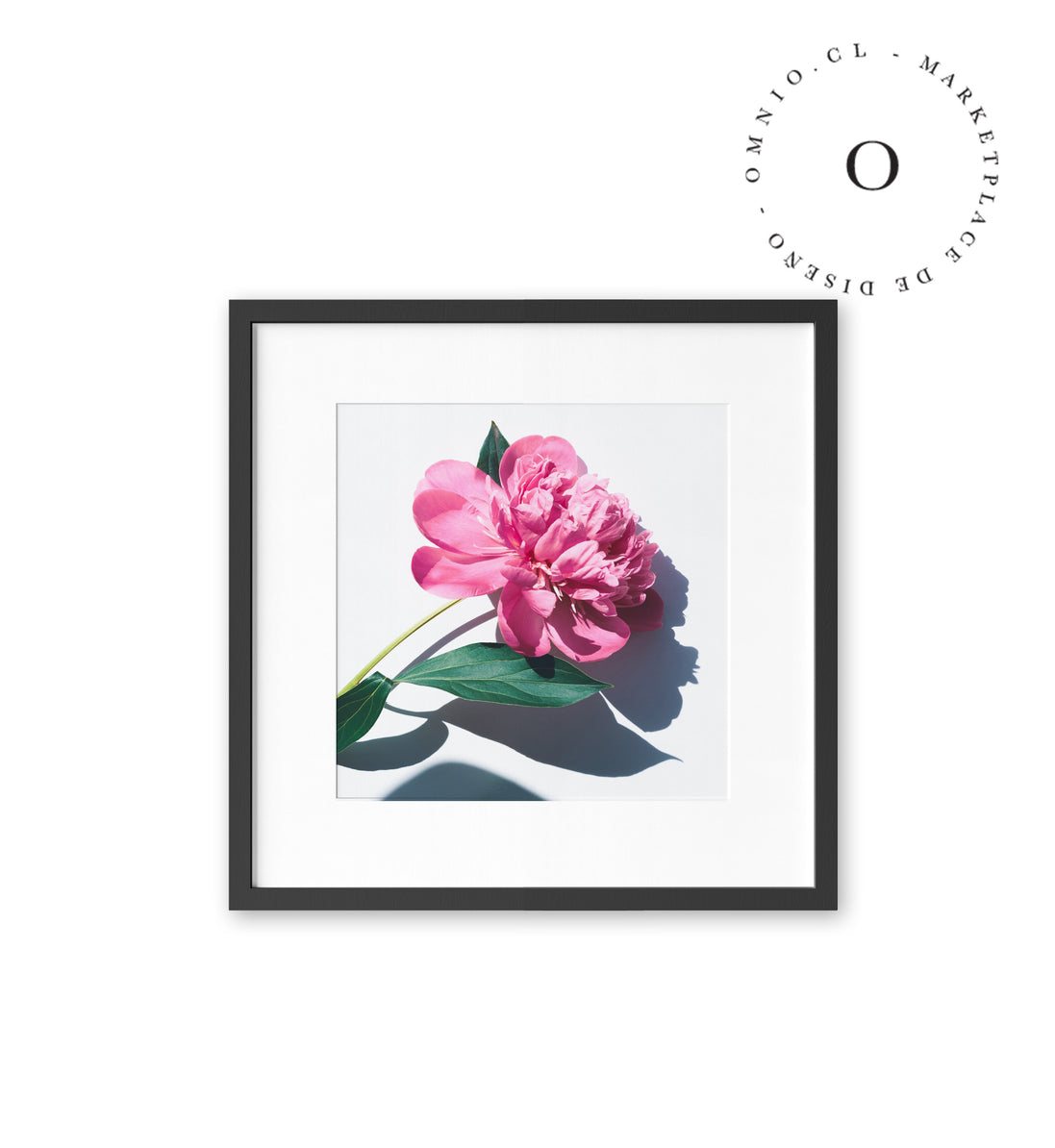 Peonia Cuadro