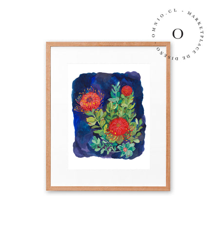 Proteas in Blue / Nina & Cala