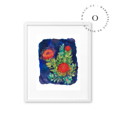 Proteas in Blue / Nina & Cala