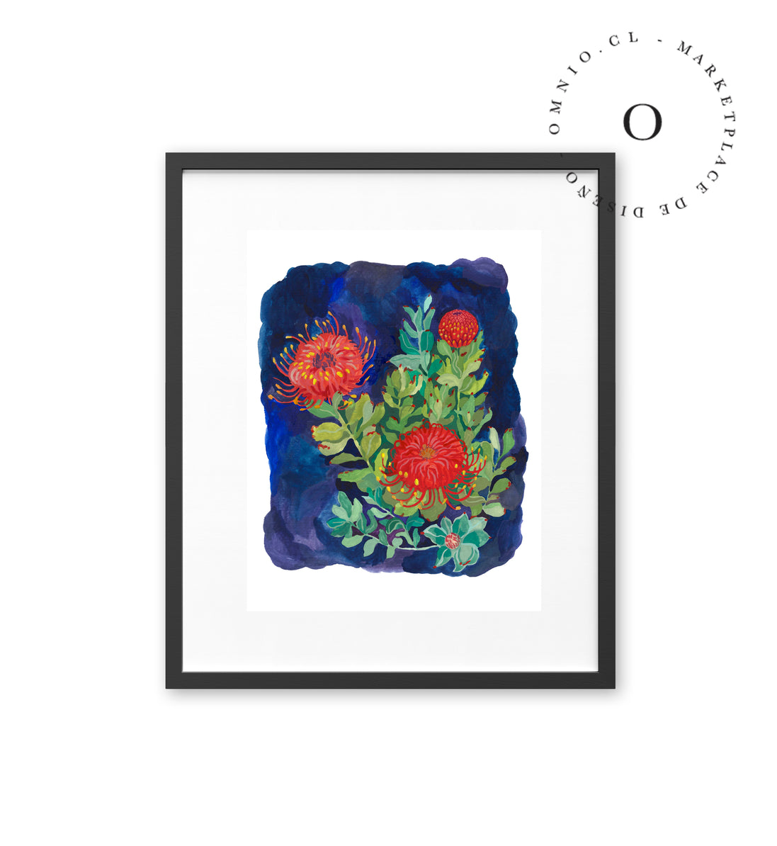 Proteas in Blue / Nina & Cala