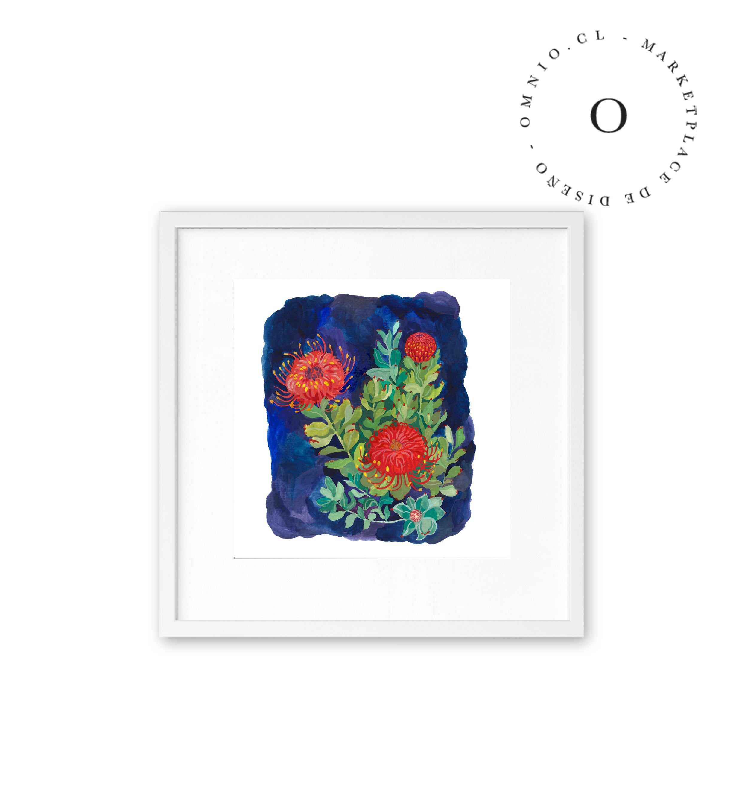 Proteas in Blue / Nina & Cala