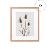 Rustic Essence III Cuadro