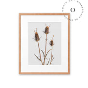Rustic Essence III Cuadro