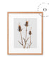 Rustic Essence III Cuadro
