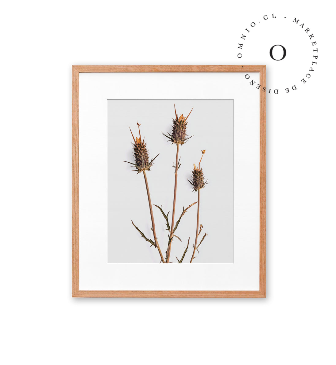 Rustic Essence III Cuadro