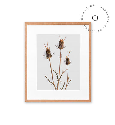 Rustic Essence III Cuadro