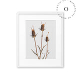 Rustic Essence III Cuadro