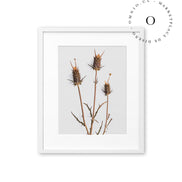 Rustic Essence III Cuadro