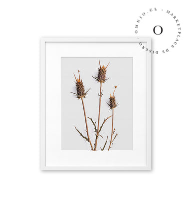 Rustic Essence III Cuadro