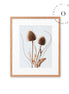 Rustic Essence II Cuadro