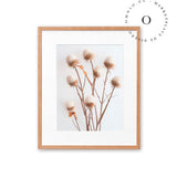 Rustic Essence IV Cuadro