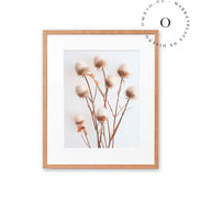 Rustic Essence IV Cuadro