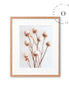 Rustic Essence IV Cuadro