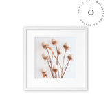 Rustic Essence IV Cuadro