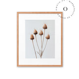 Rustic Essence Cuadro