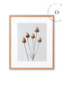 Rustic Essence Cuadro