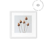 Rustic Essence Cuadro