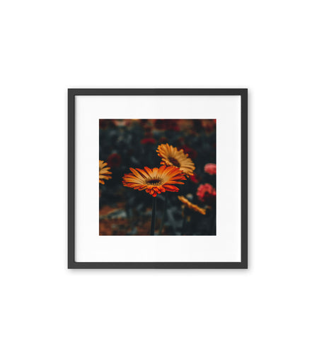 Silent Garden