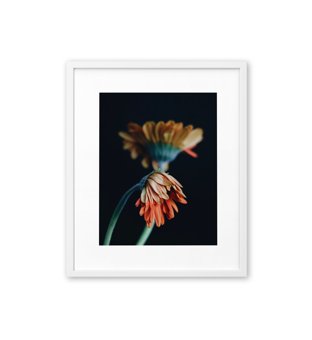 Silent Garden II