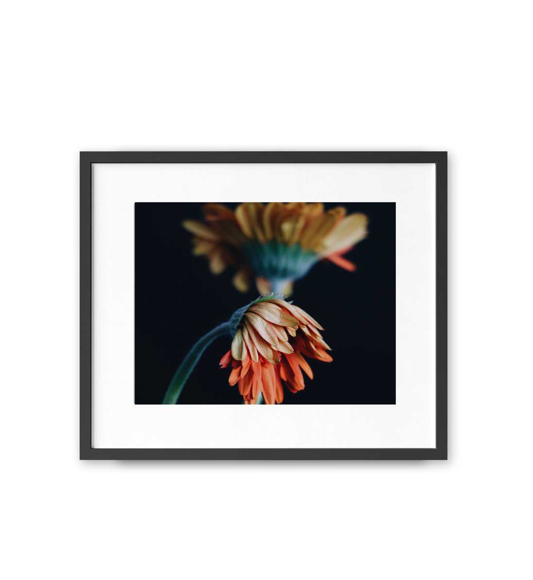 Silent Garden II