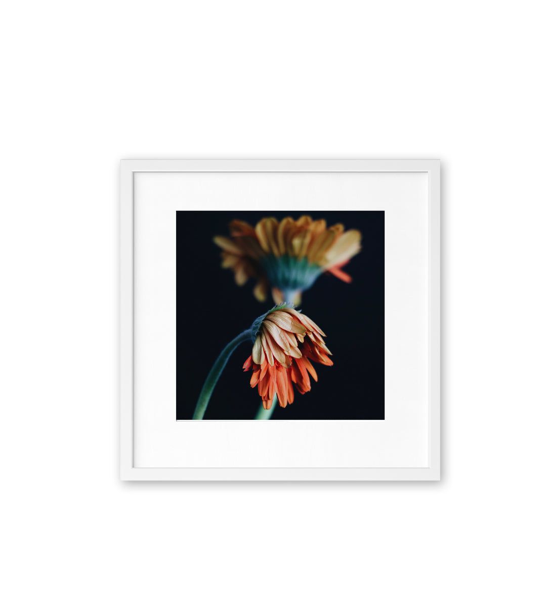 Silent Garden II