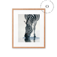 Stripe II