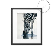 Stripe II