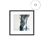Stripe II