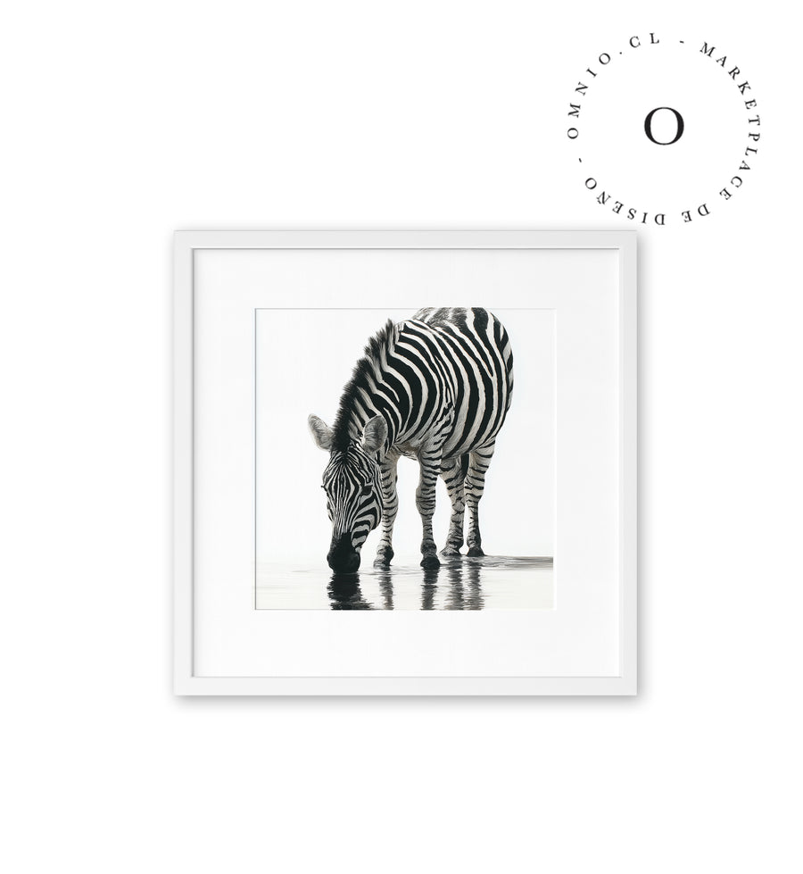 Stripe