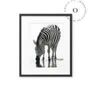 Stripe
