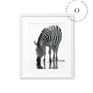 Stripe