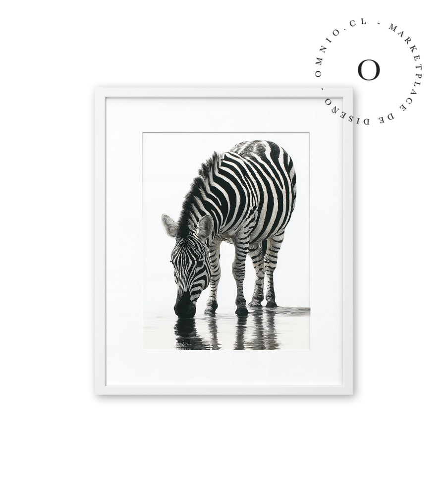 Stripe