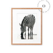 Stripe