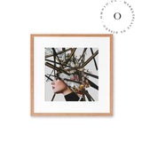 Stroke Beauty II Cuadro