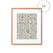 Birch And Owls Blue